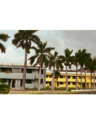 Mr. Negative Mr Negative DayLIGHT Robbery - 35mm Film, 400 ISO, 36 Exposure