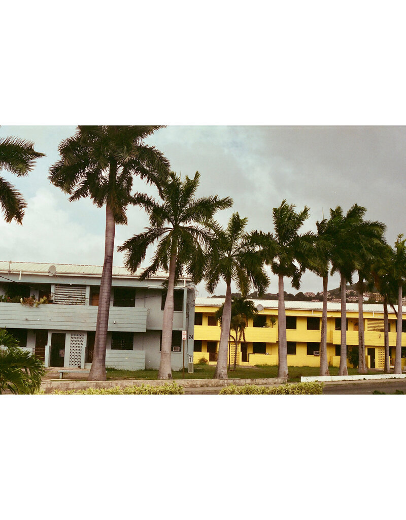 Mr. Negative Mr Negative DayLIGHT Robbery - 35mm Film, 400 ISO, 36 Exposure