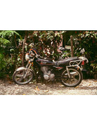 Mr. Negative Mr Negative DayLIGHT Robbery - 35mm Film, 400 ISO, 36 Exposure