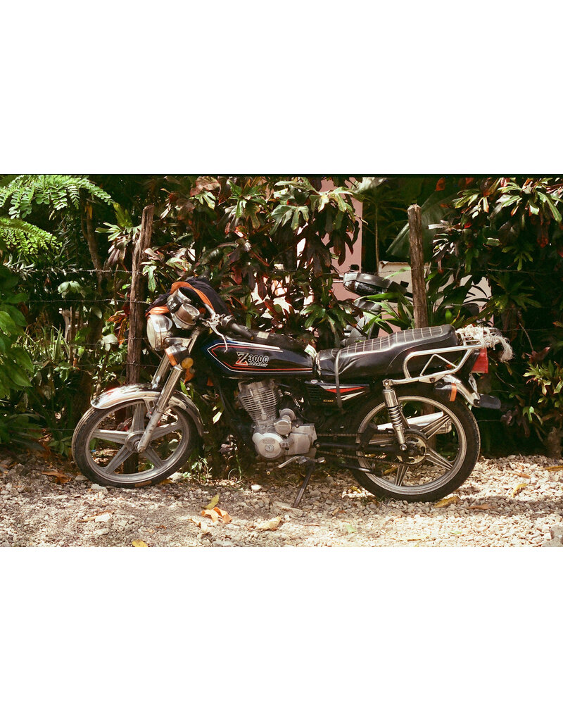 Mr. Negative Mr Negative DayLIGHT Robbery - 35mm Film, 400 ISO, 36 Exposure