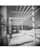 Holga 120N Camera - Black