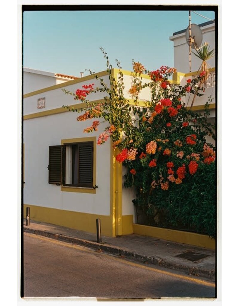 Hundred Film 1Hundred Color Film 35mm 36 Exposures