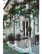 Mira Color Mira Color 800 ISO 35mm Film 36 Exposure