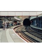 Mira Color Mira Color 800 ISO 35mm Film 36 Exposure