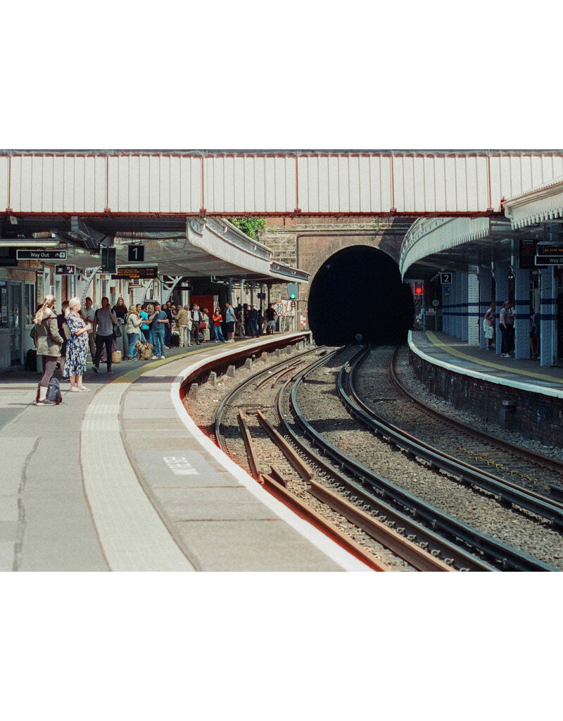 Mira Color Mira Color 800 ISO 35mm Film 36 Exposure