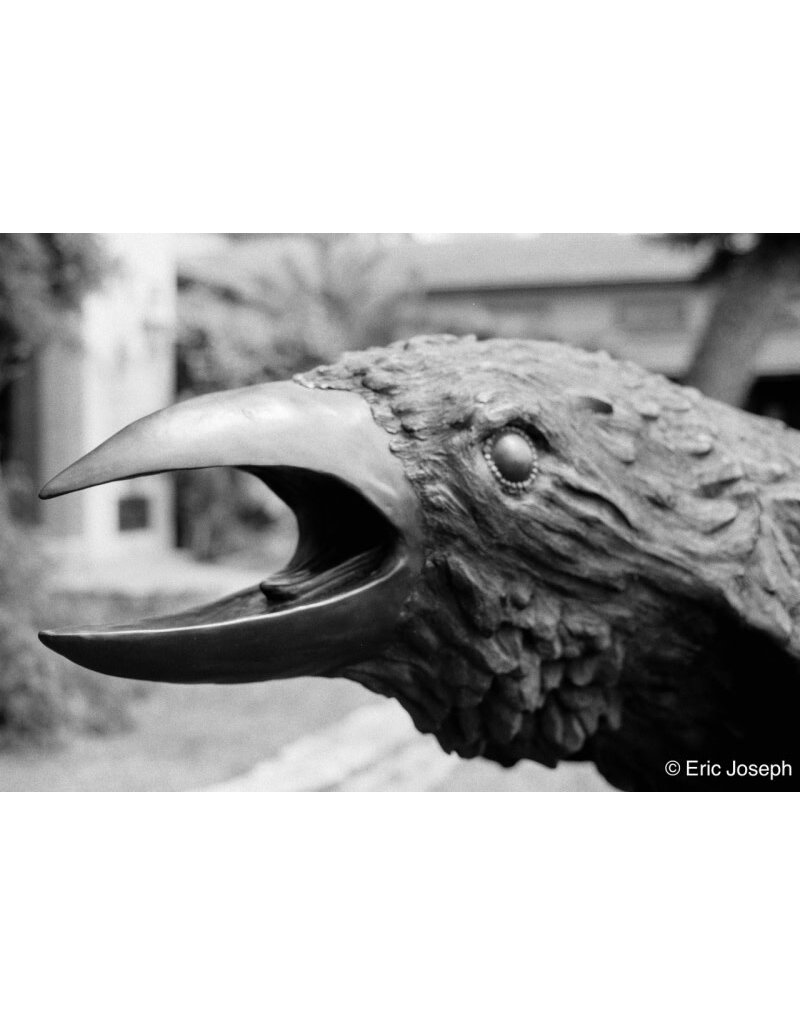 Arista ARISTA EDU DX 400 ISO 35mm x 36 exp.