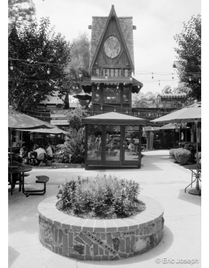 Arista ARISTA EDU DX 400 ISO 35mm x 36 exp.