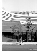 Arista ARISTA EDU DX 100 ISO 35mm x 36 exp.