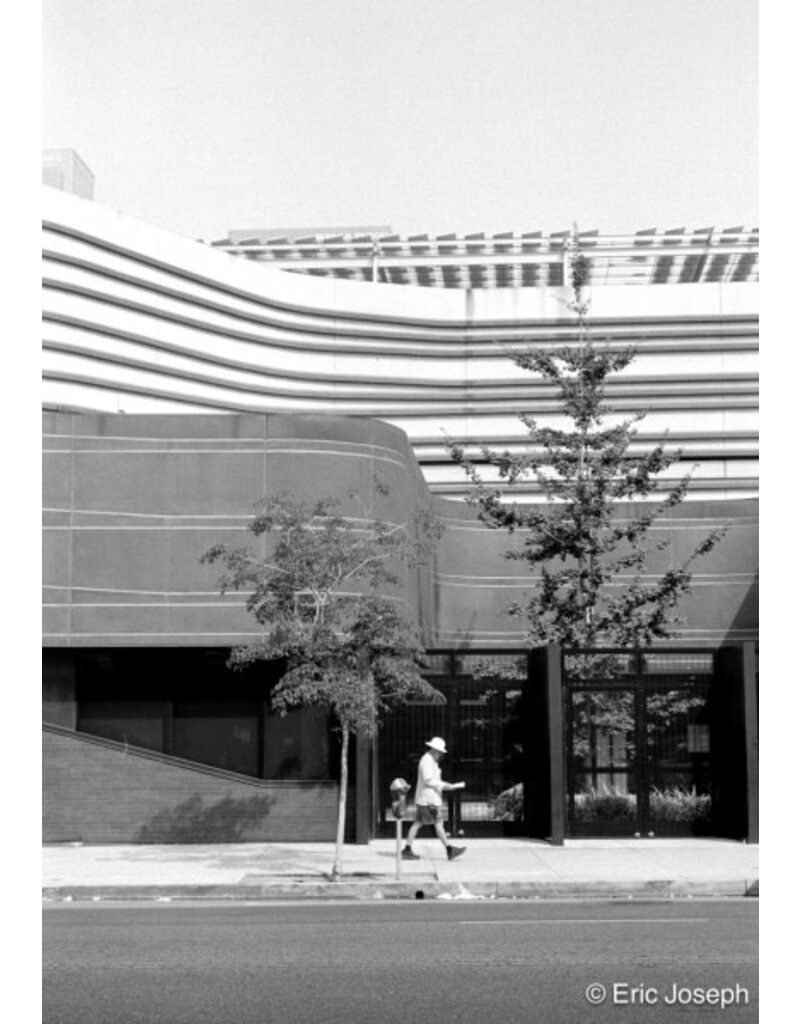 Arista ARISTA EDU DX 100 ISO 35mm x 36 exp.