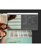 Arista ARISTA EDU DX 100 ISO 35mm x 36 exp.