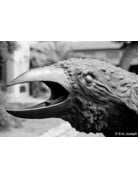 Arista ARISTA EDU DX 400 ISO 35mm x 24 exp.