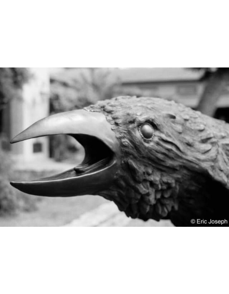 Arista ARISTA EDU DX 400 ISO 35mm x 24 exp.