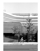 Arista ARISTA EDU DX 100 ISO 35mm x 24 exp