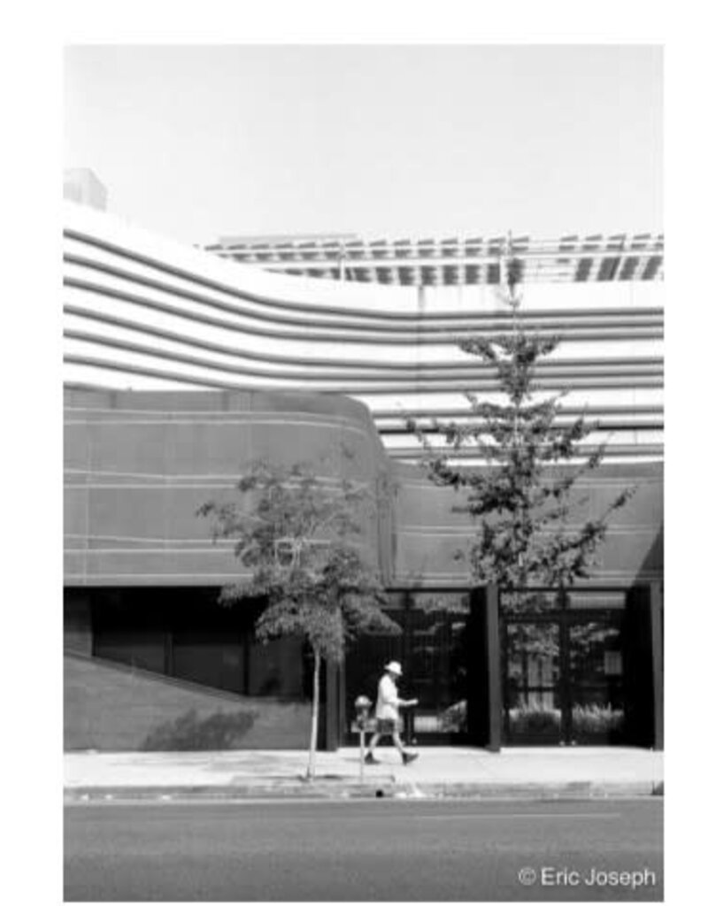 Arista ARISTA EDU DX 100 ISO 35mm x 24 exp