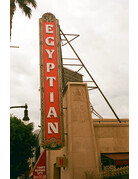 Mr. Negative Mr Negative Secret Sauce - 35mm Film, 100 ISO, 36 Exposure