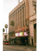 Mr. Negative Mr Negative Secret Sauce - 35mm Film, 100 ISO, 36 Exposure