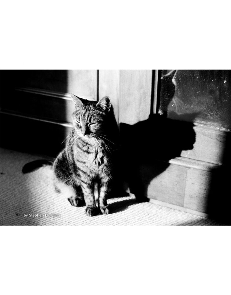 Kosmo Foto Kosmo Foto Mono 100 ISO 35mm x 36 exp.