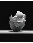 Karmir Karmir 100 ISO 35mm x 36 Exp. Black & White Negative Film