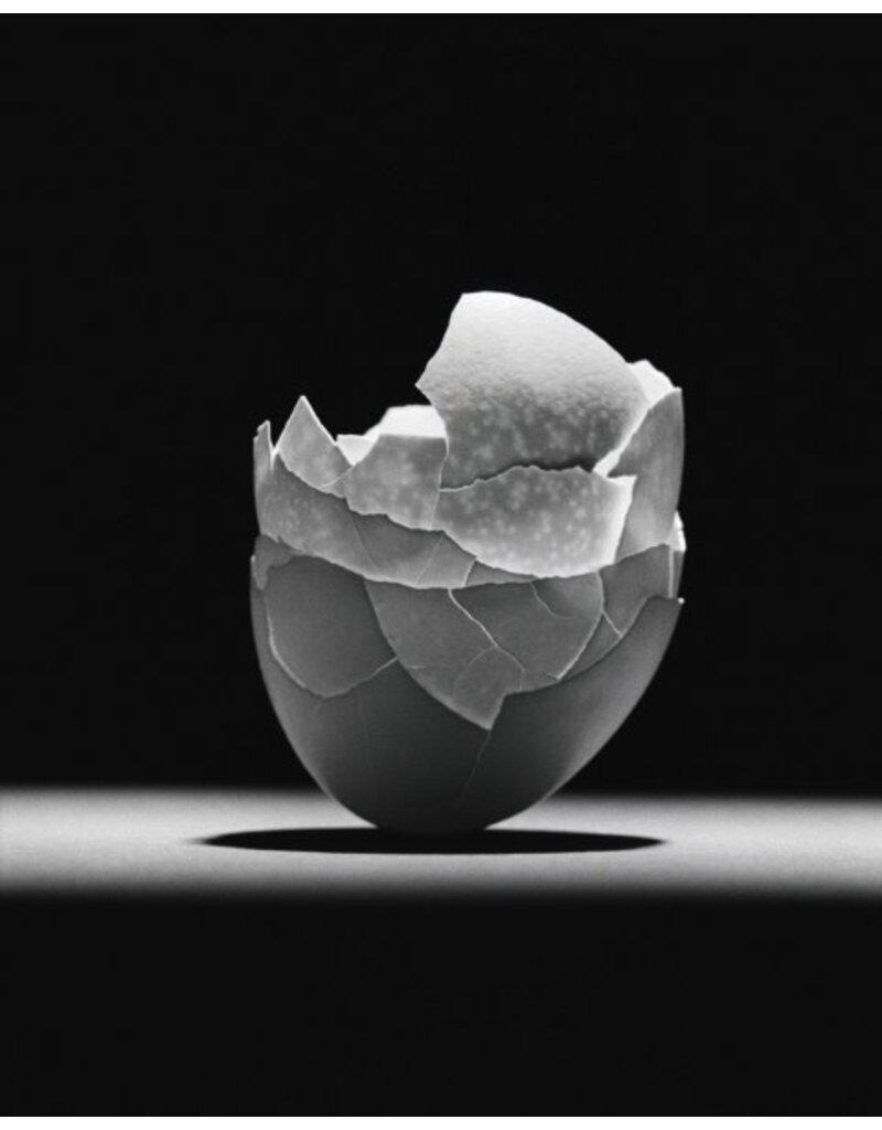 Karmir Karmir 100 ISO 35mm x 36 Exp. Black & White Negative Film