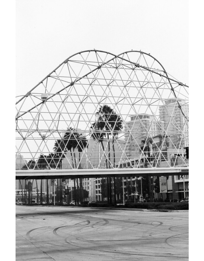 Film Photography Project FPP Frankenstein 35mm 24 Exposures B&W NEGATIVE FILM 200 ISO