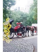 "Picked" 400 35mm Color Film 24 Exposures