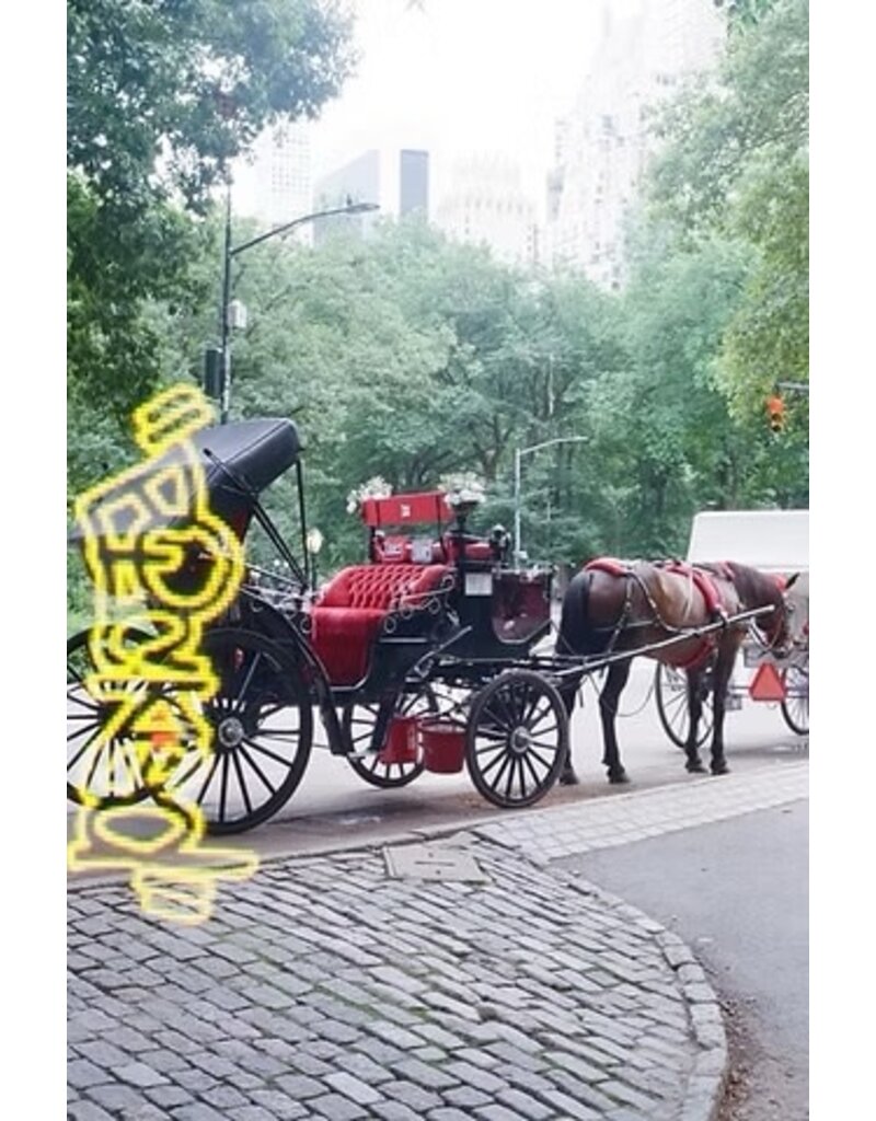 "Picked" 400 35mm Color Film 24 Exposures