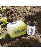 "Picked" 400 35mm Color Film 24 Exposures