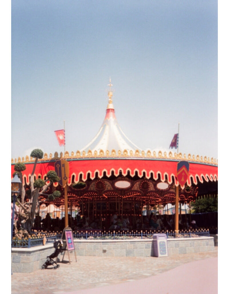 Retocolor Maple 100 ISO 35mm x 27 exp. Color Negative C-41 Process Film