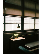 Retocolor Maple 100 ISO 35mm x 27 exp. Color Negative C-41 Process Film