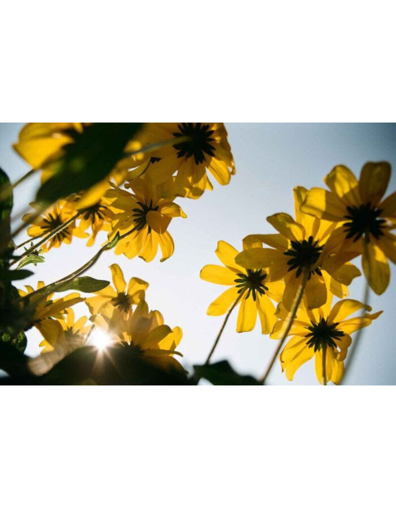 Kodak Kodak Eastman Kodacolor 100 Color Negative Film (35mm, 36 Exposures)