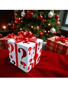 35mm Mystery Holiday Gift Box