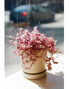 Kodak Kodak Eastman Kodacolor 100 Color Negative Film (35mm, 36 Exposures)