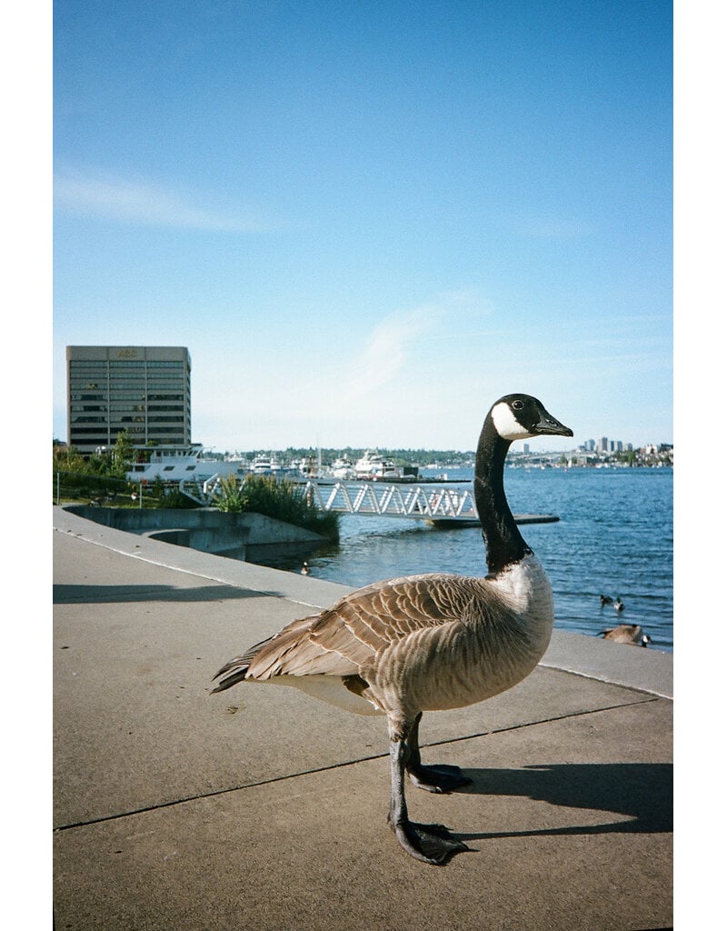 Kodak Pre-Order Kodak Snapic A1 35mm Full-Fram Film Camera White