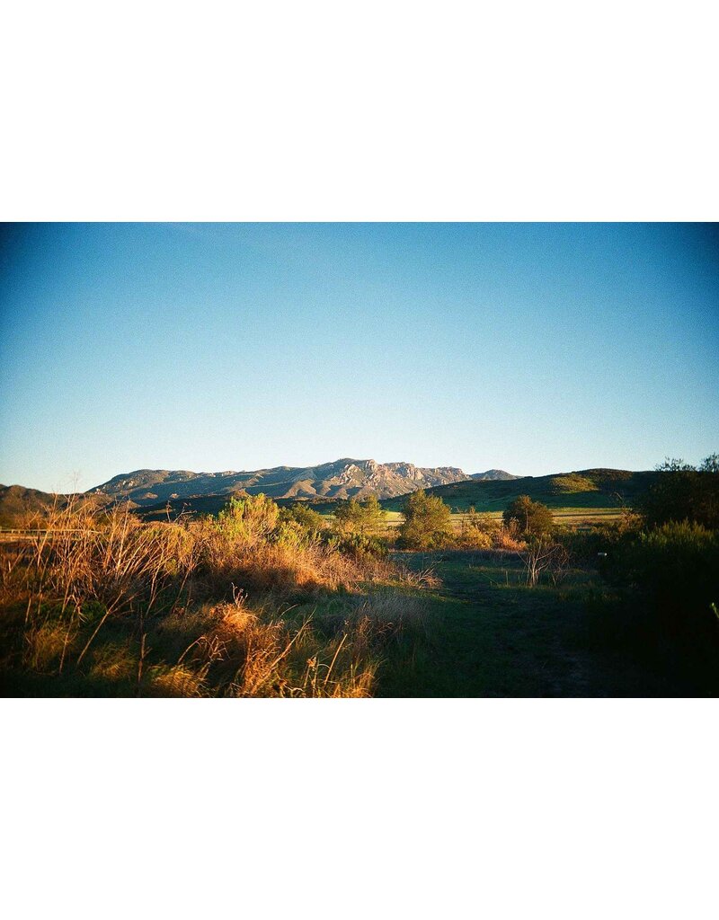 Kodak Kodak Eastman UltraMax 400 Color Negative Film (35mm Roll Film, 36 Exposures)