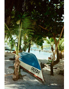 Optik Oldschool Optik Oldschool Opticolour 200 Color Negative Film (35mm Roll Film, 36 Exposures)