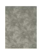 Promaster Cloud Dyed Backdrop 10'x12' - Light Grey