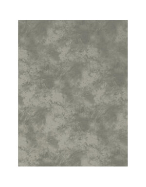 Promaster Cloud Dyed Backdrop 10'x12' - Light Grey