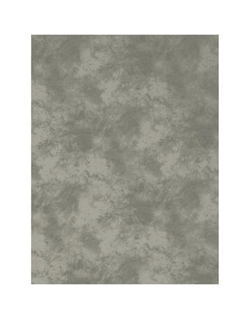 Promaster Cloud Dyed Backdrop 10'x12' - Light Grey