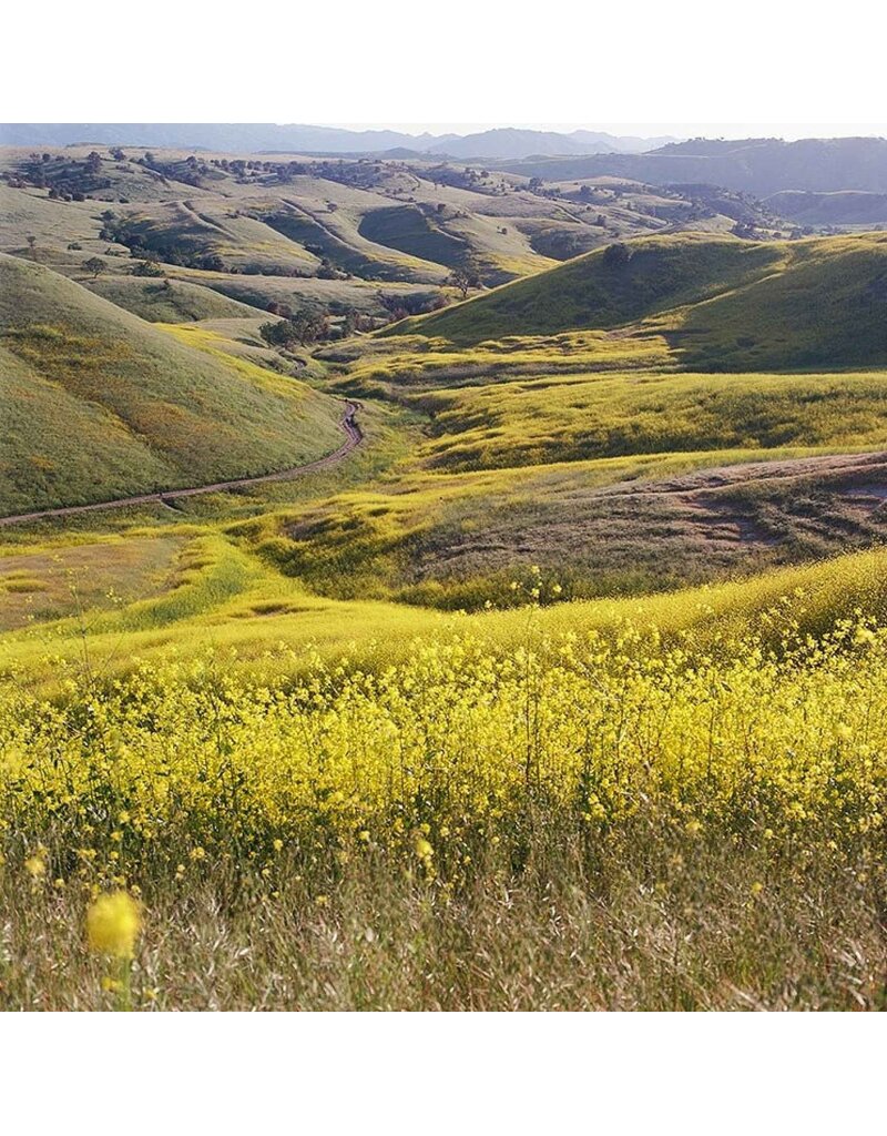 Kodak Kodak Eastman Ektar 100 120mm Single Roll