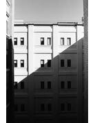 Kodak Kodak Eastman 400TX TRI-X 120mm Single Roll