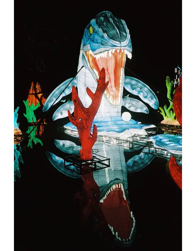 Santa Color Santa Color 800 (35mm Roll Film, 36 Exposures)