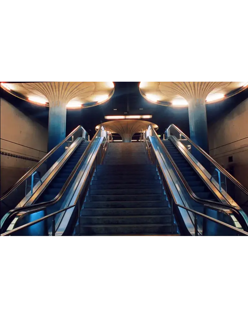 Santa Color Santa Color 800 (35mm Roll Film, 36 Exposures)