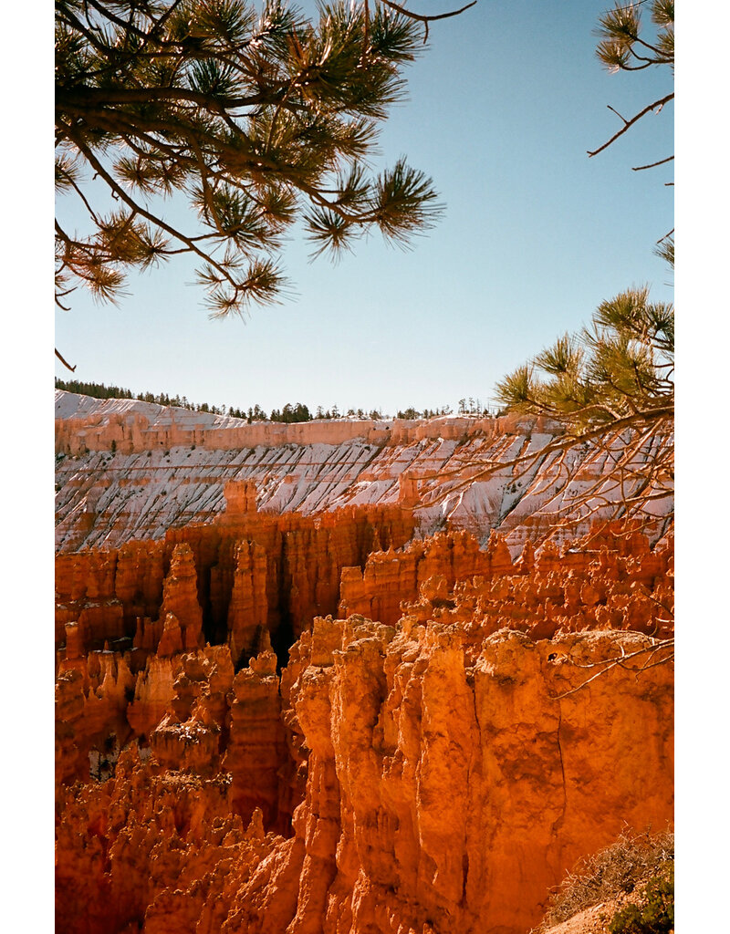 Karmir Karmir 160 ISO 35mm x 36 Exp. Color Negative Film