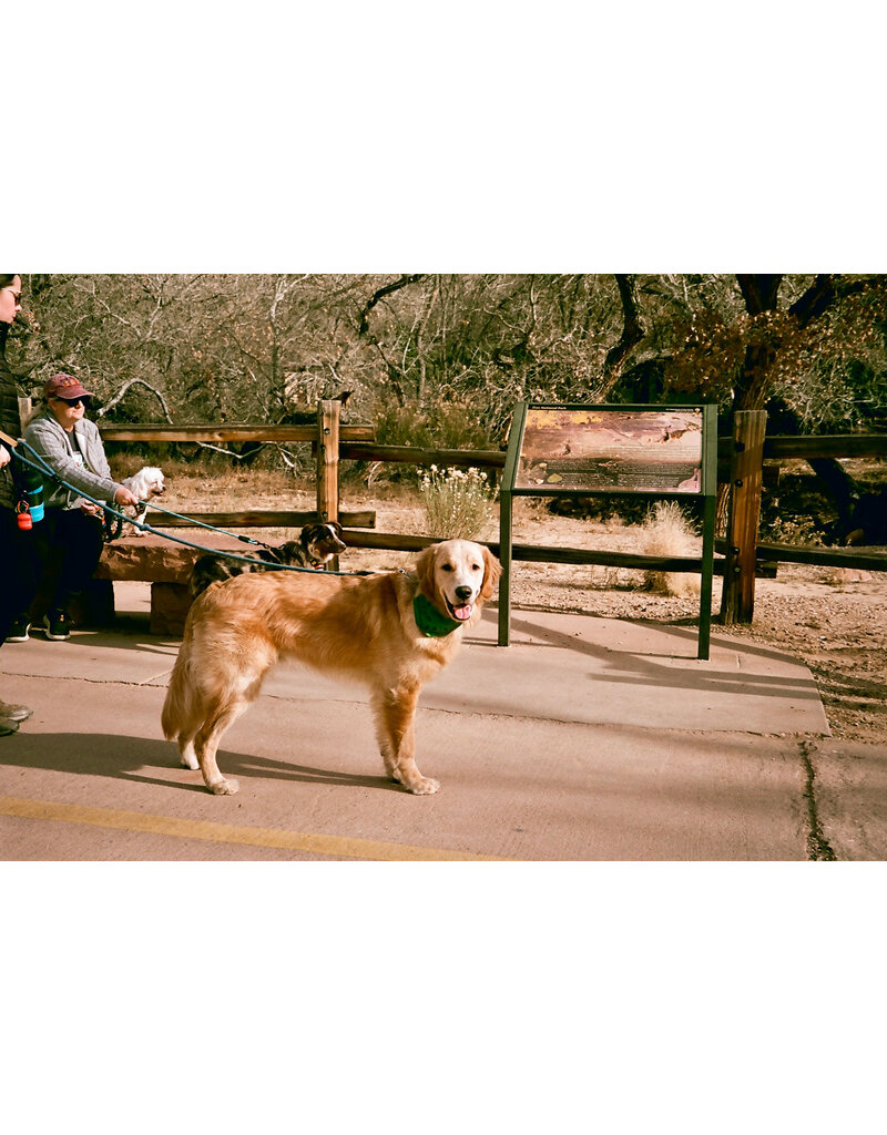 Karmir Karmir 160 ISO 35mm x 36 Exp. Color Negative Film