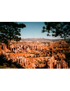 Karmir Karmir 160 ISO 35mm x 36 Exp. Color Negative Film