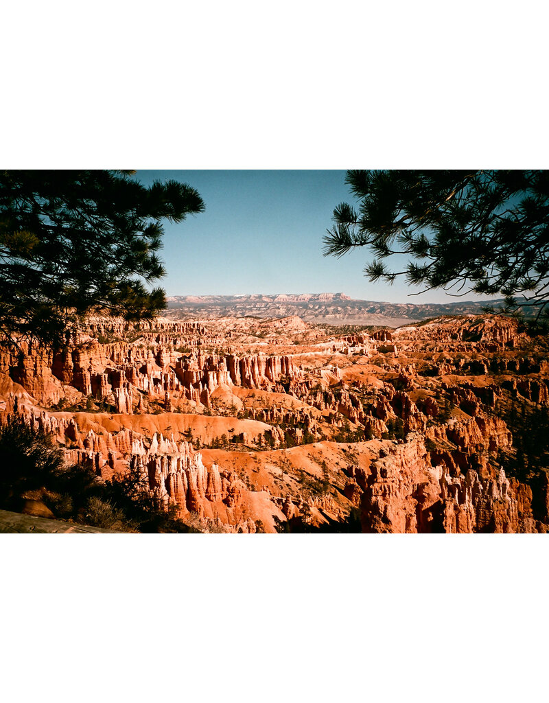 Karmir Karmir 160 ISO 35mm x 36 Exp. Color Negative Film