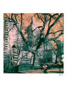 Harman Harman Switch Azure ISO 125 Creative 120 Film