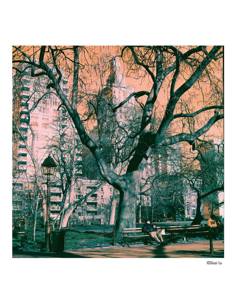 Harman Harman Switch Azure ISO 125 Creative 120 Film