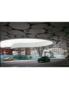 Alien Film AERONEGA 100 - 35mm Color Negative Film, 36 Exposure