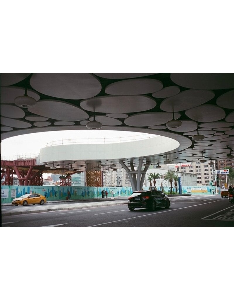 Alien Film AERONEGA 100 - 35mm Color Negative Film, 36 Exposure